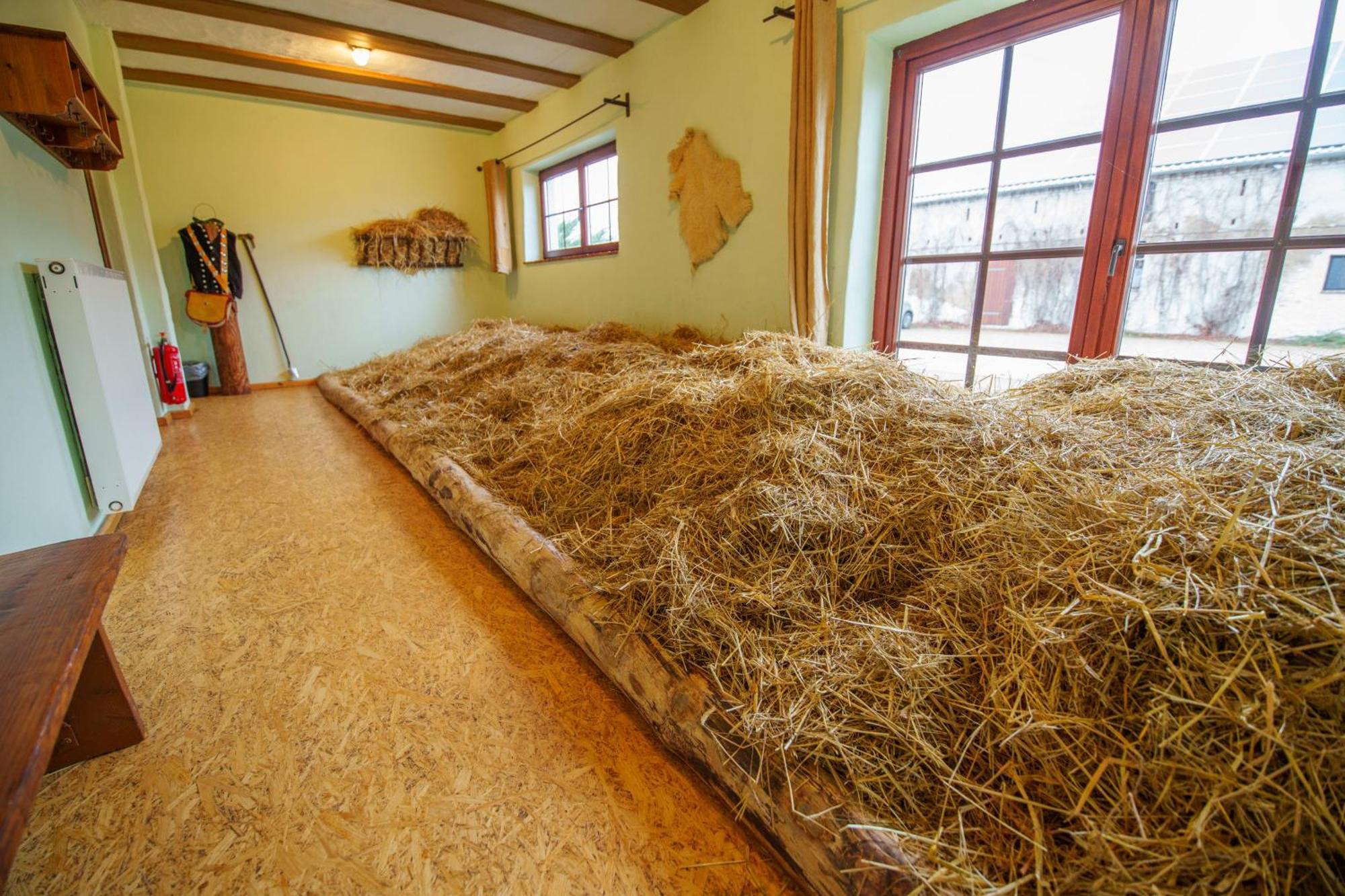 Scheunenherberge Unterspreewald Ngoại thất bức ảnh